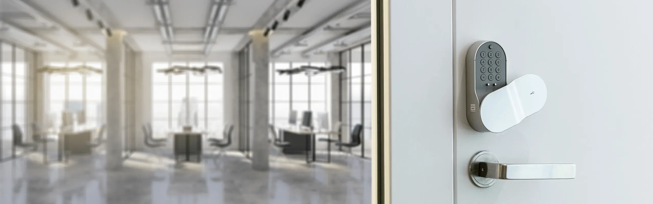 opelo commonsの製品画像